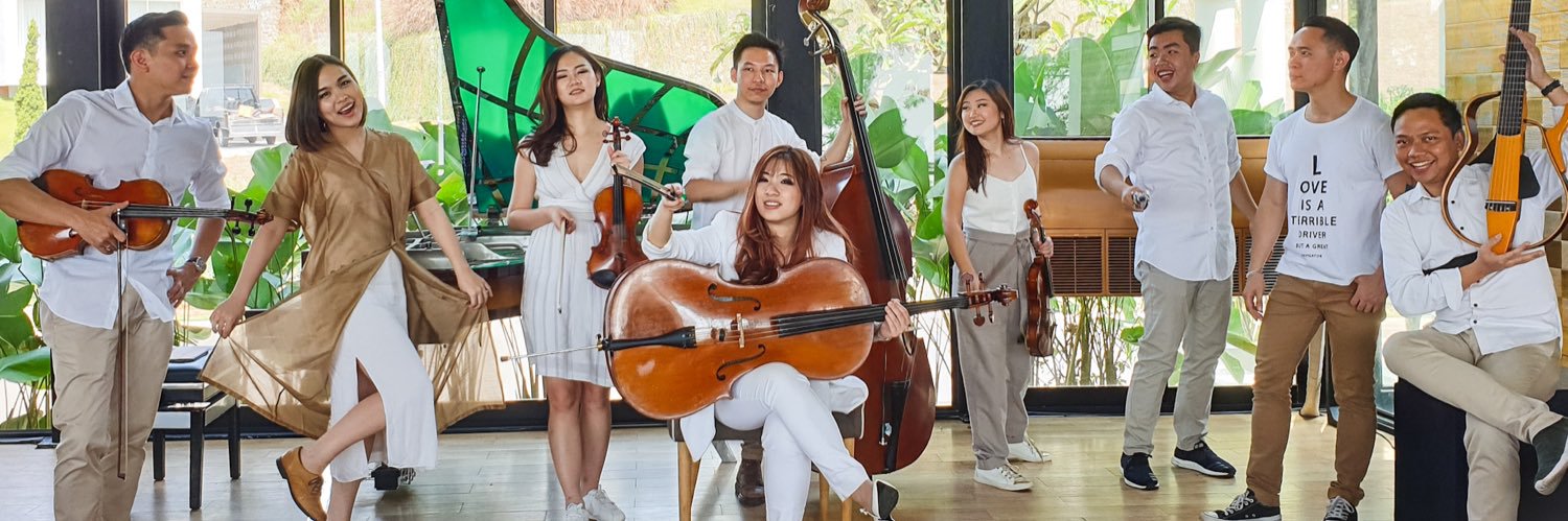 stradivari_stra's profile banner image