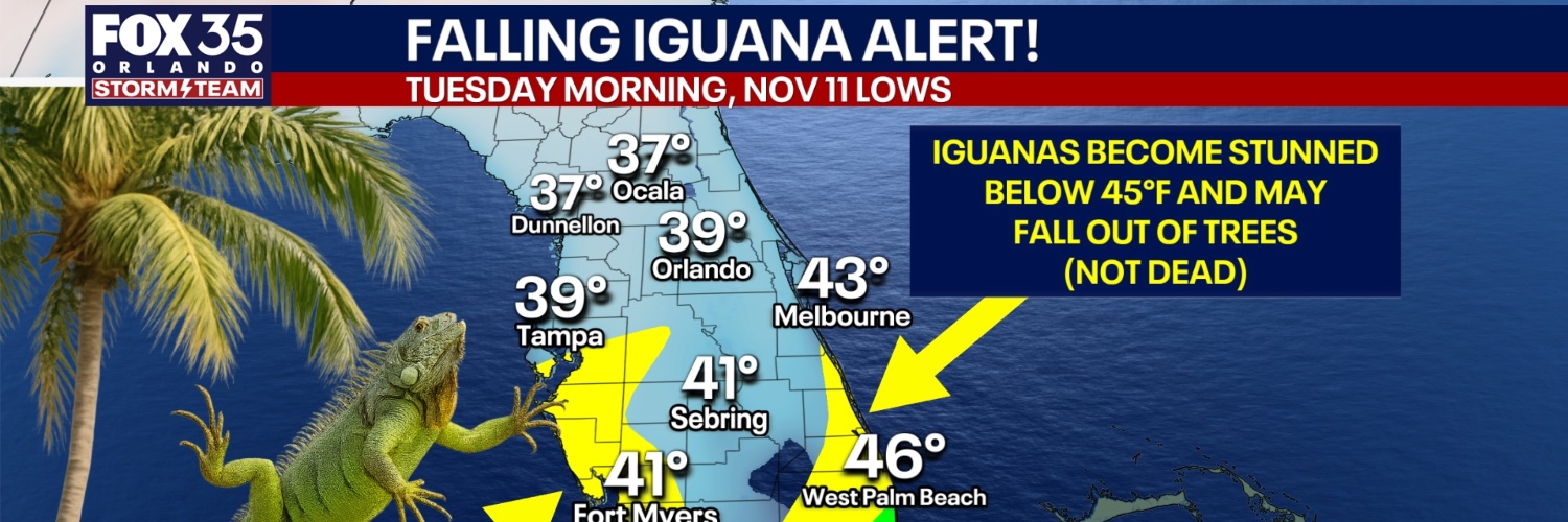 Brooks Garner banner