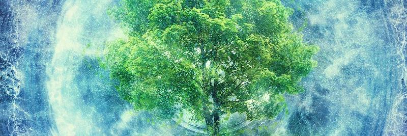 ZeroWasteGer's profile banner image
