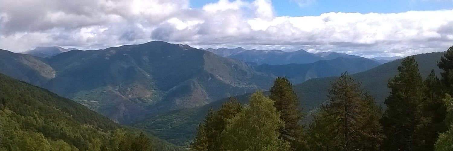 Núria Vallduriola banner