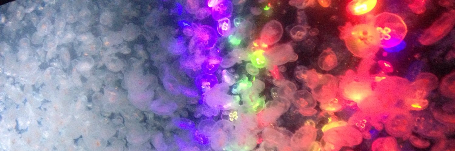 toru08yas's profile banner image