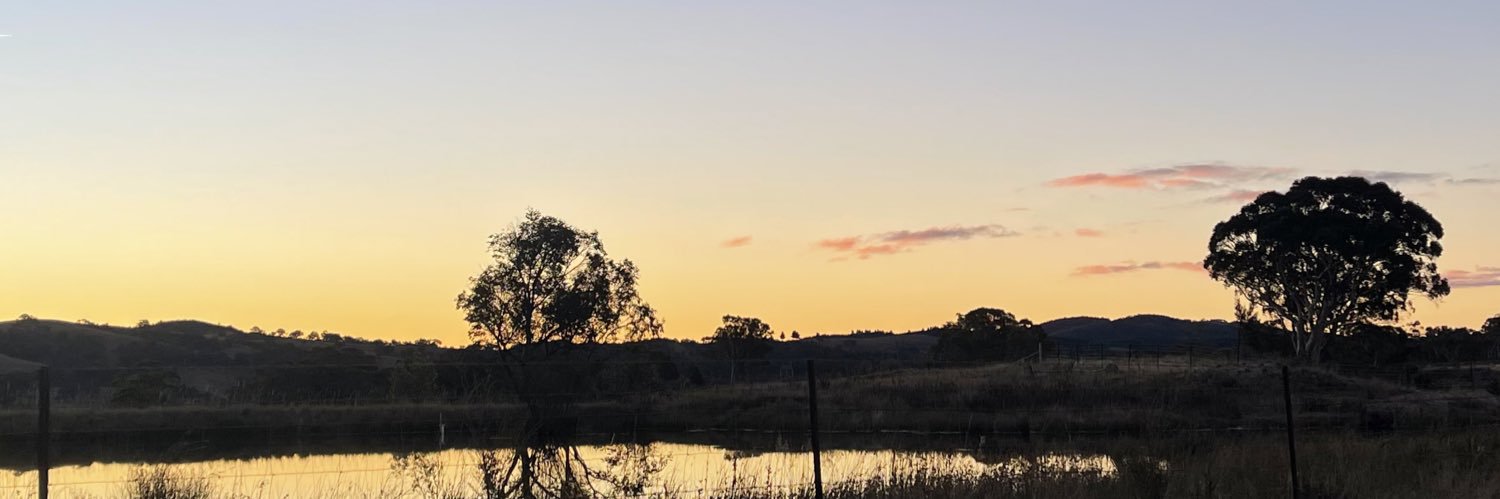 kitkathlyyn's profile banner image