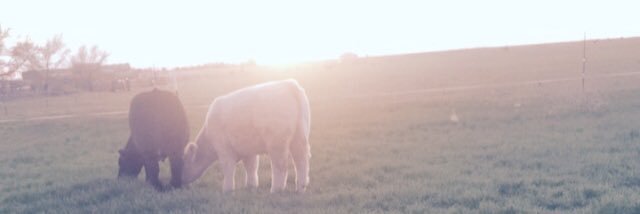 zanesscott99's profile banner image
