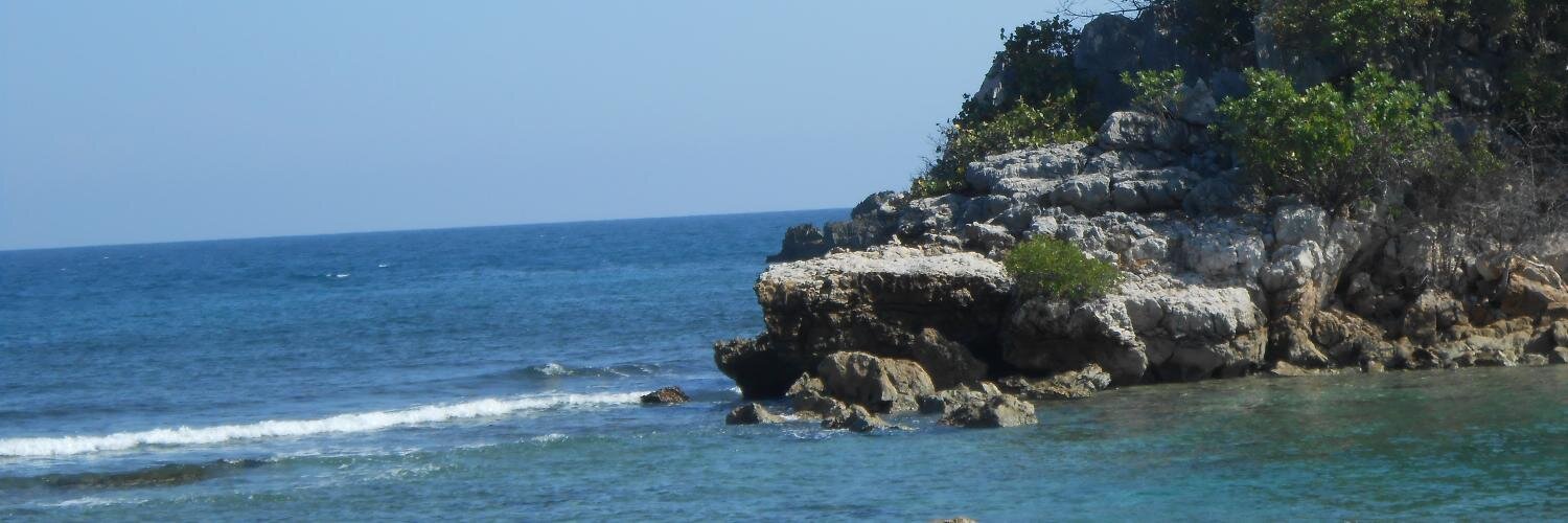 kellylipprand's profile banner image