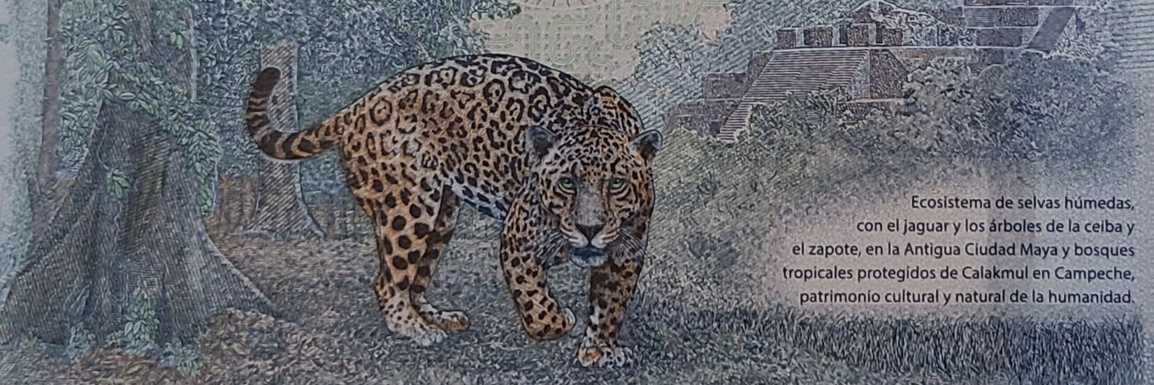 juantonsoupp's profile banner image
