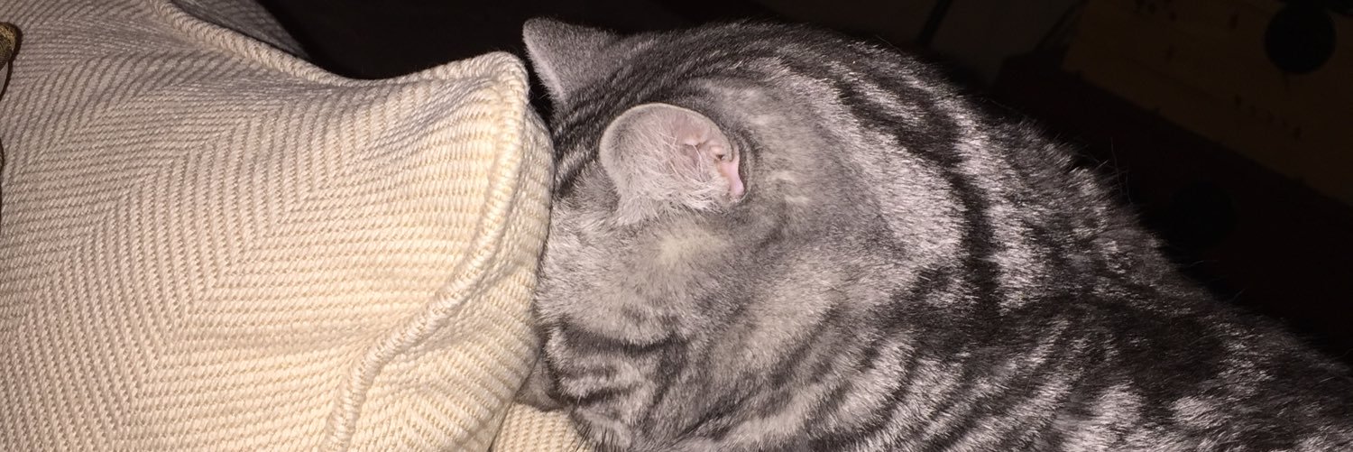 soupnelson's profile banner image