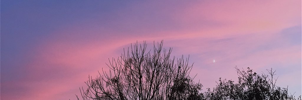 DecockEllen's profile banner image