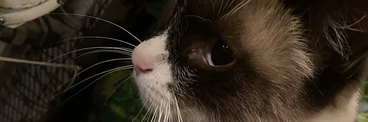 alejandrobricee's profile banner image