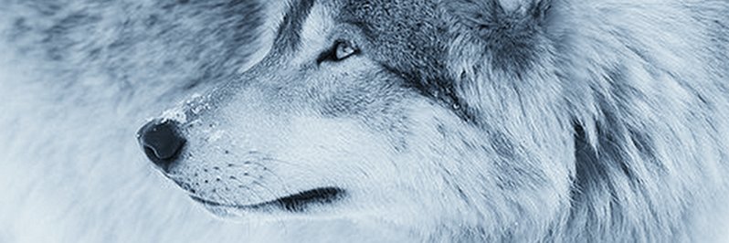 tbaker1986's profile banner image