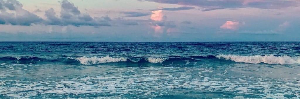 _feernh's profile banner image