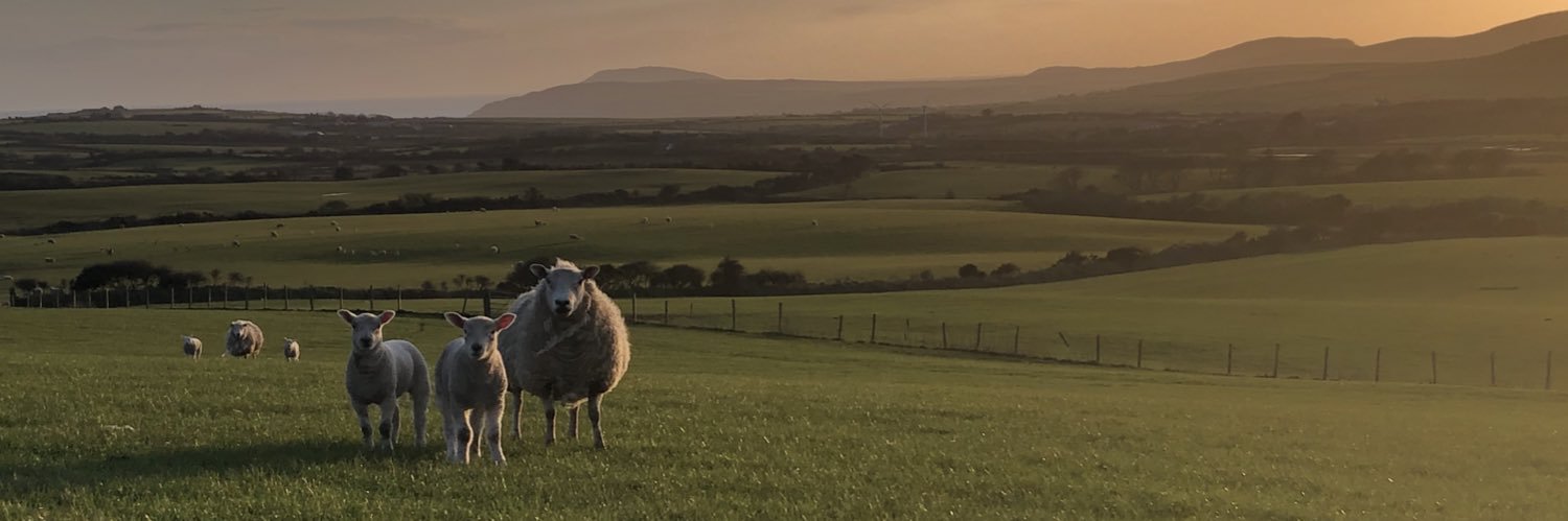 GruffV's profile banner image
