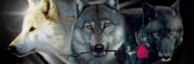 Velvetwolf ☮#ResistanceUnited #🟦 banner