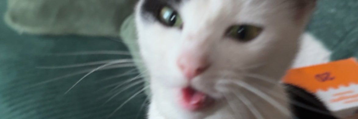 owenwilko99's profile banner image