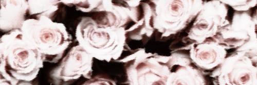 qzwsn's profile banner image