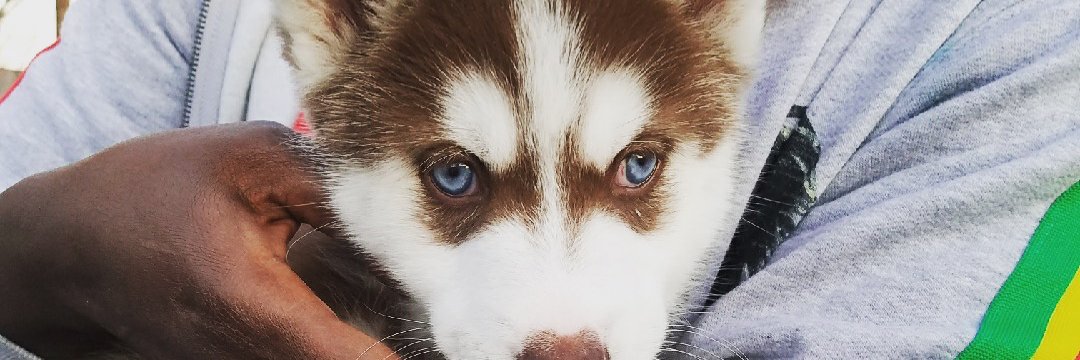 Back2Back National Champ Mbye Njie #GoDawgs banner