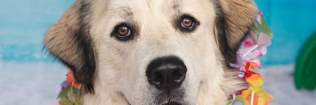 ERIN SPARKMAN @bedtime banner