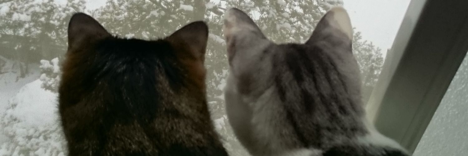 hika_jun_asa's profile banner image