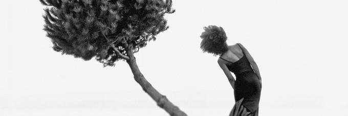 _ladyLEO's profile banner image