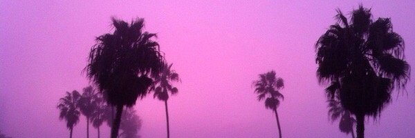 predictings1's profile banner image