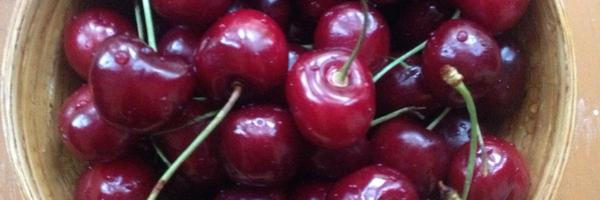 oreillyskitchen Profile Banner