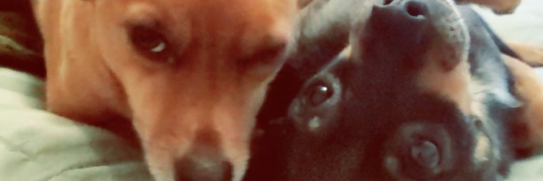jennemih's profile banner image