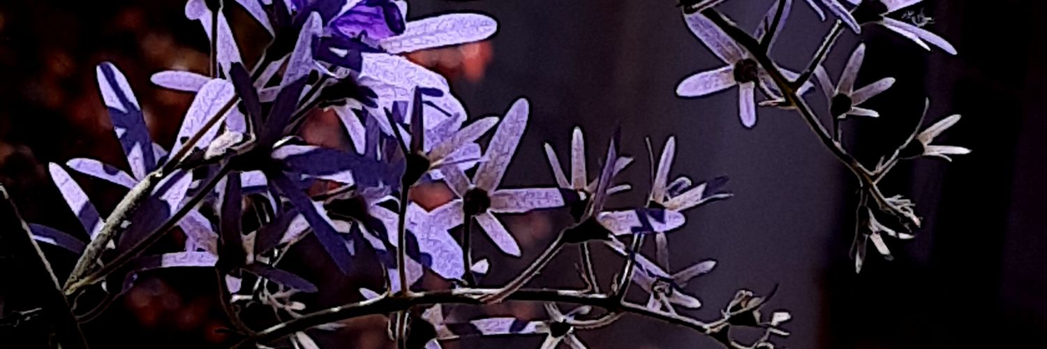 atarbus's profile banner image