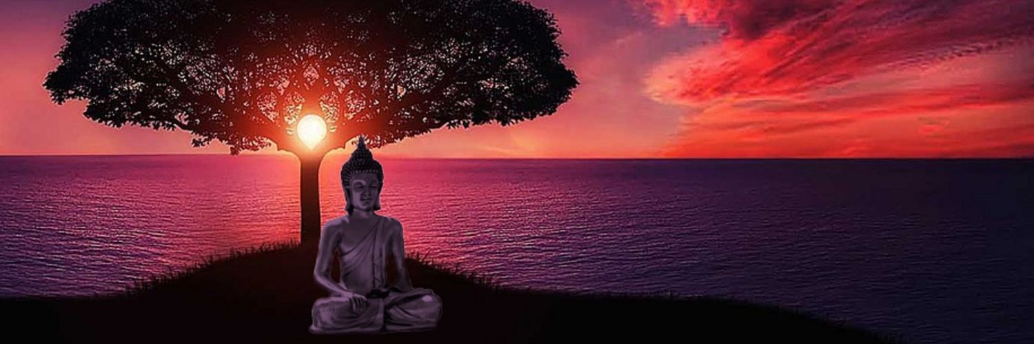 farkasreti's profile banner image