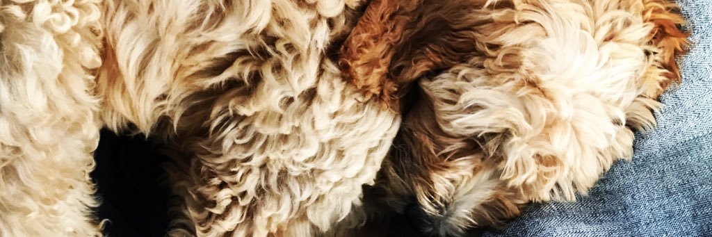 AnnaSejnoha's profile banner image