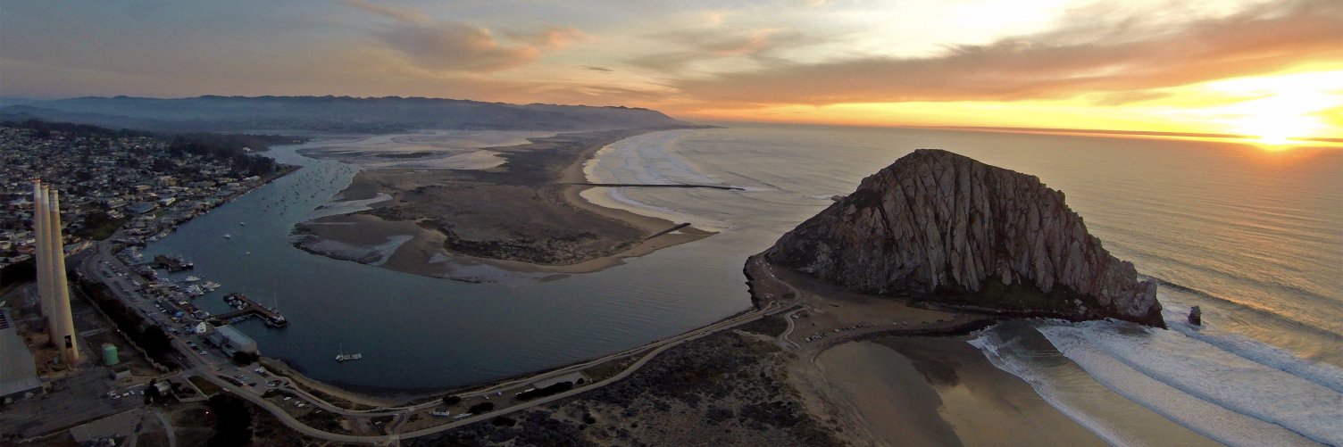 805aerial's profile banner image