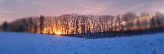 viking_hage's profile banner image
