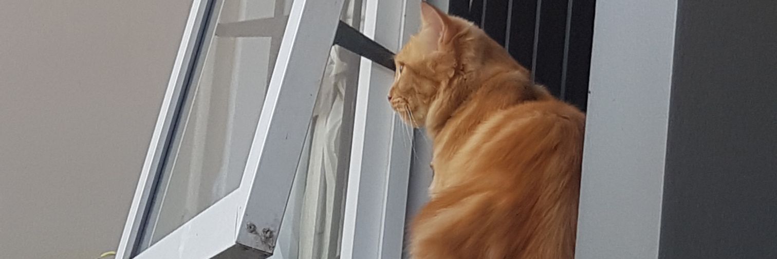 semirputih's profile banner image