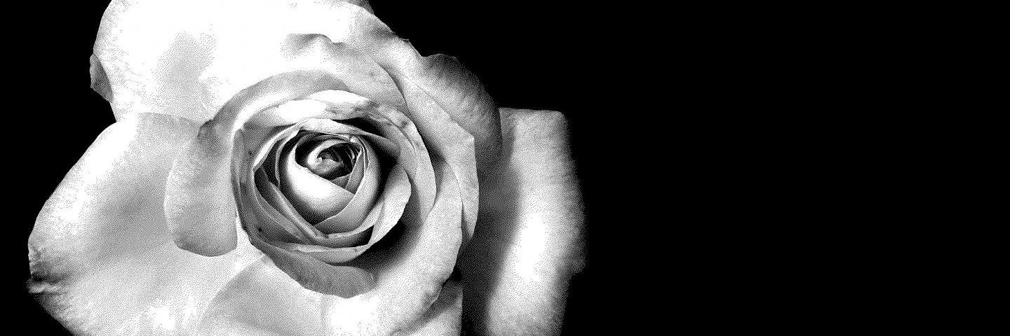 anthoullaaa's profile banner image