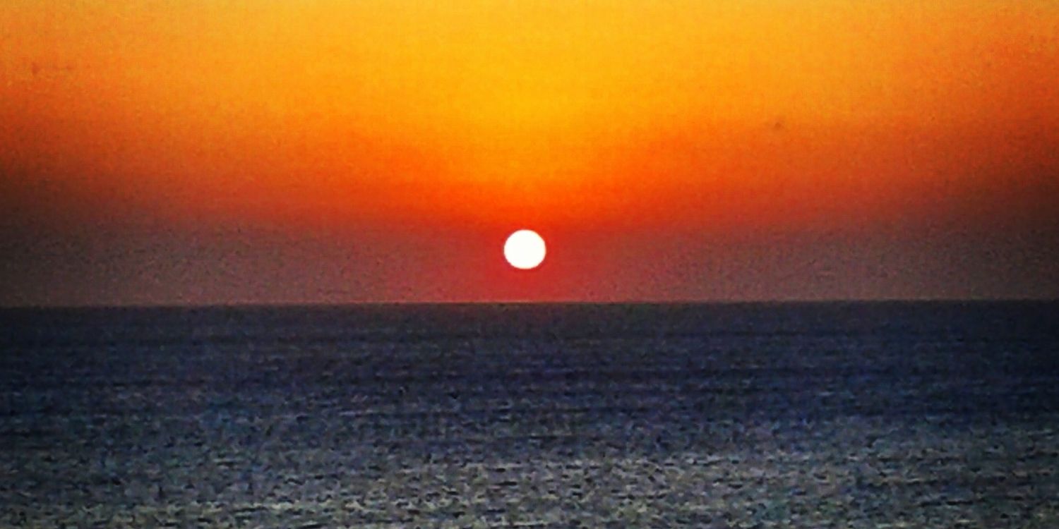 RoserCampina's profile banner image