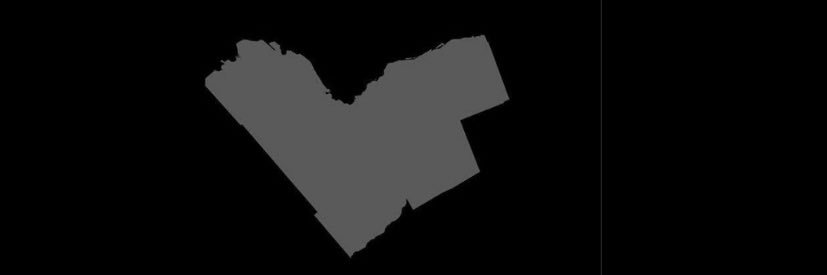 Patrice Hall-Johnson (Ms. Hall) banner