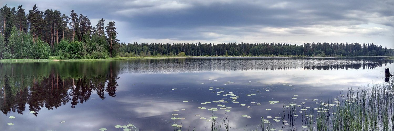 Dmitry Barashev banner