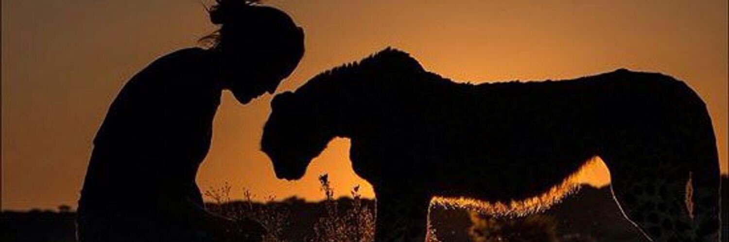 3aghar's profile banner image