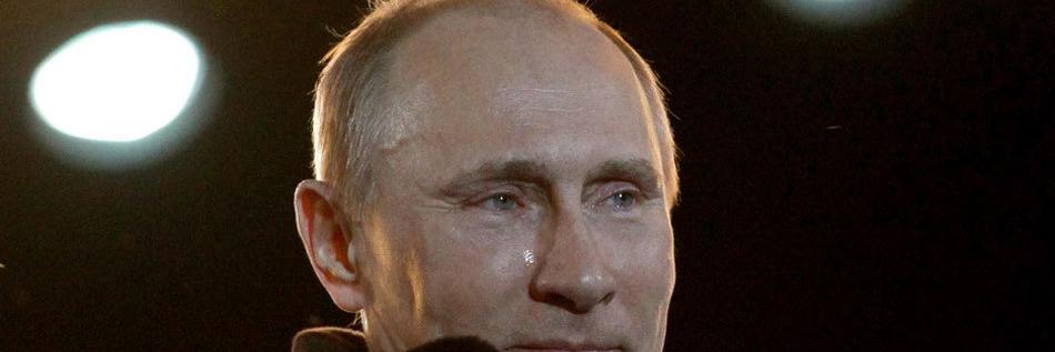 dlputin's profile banner image