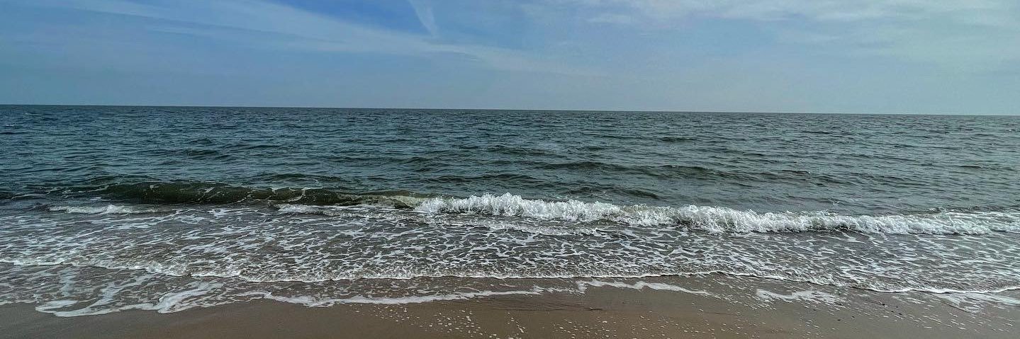 Éimear Stephenson banner