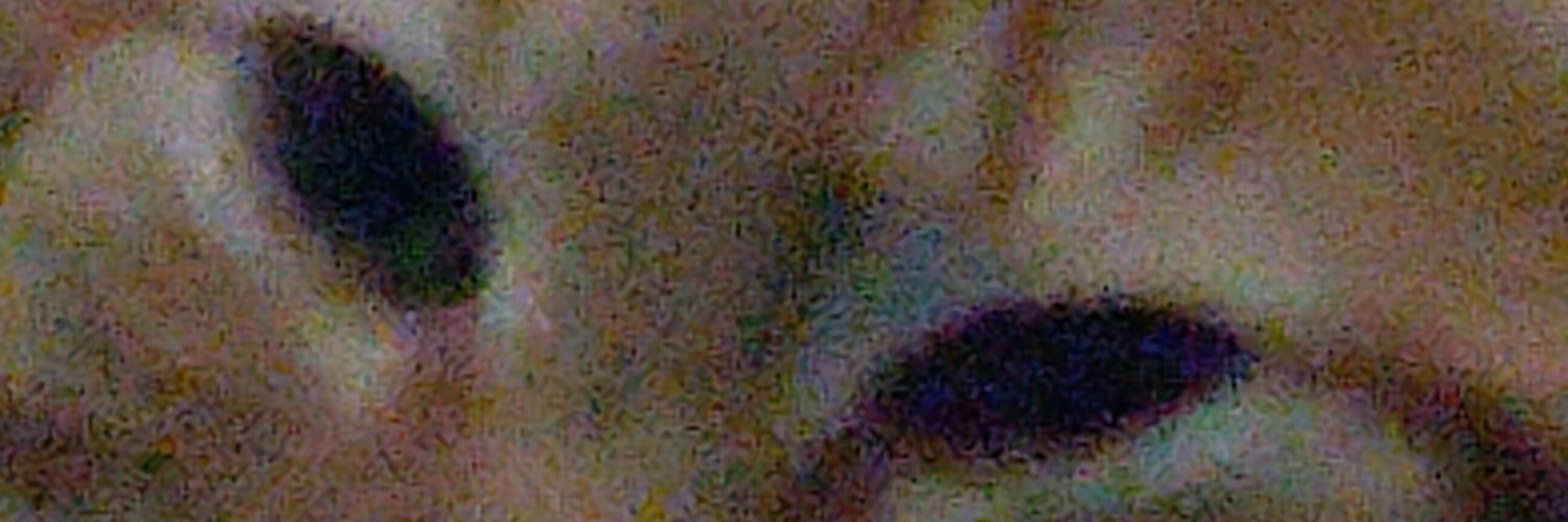 SpookehDoom's profile banner image
