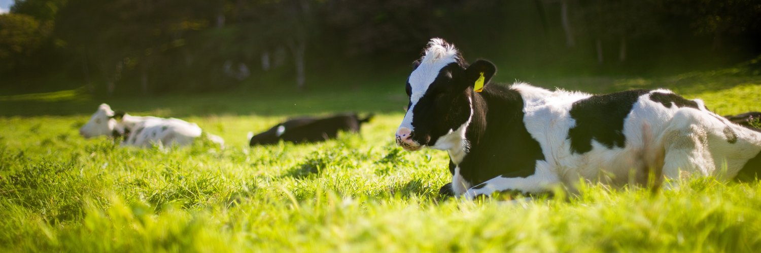 Commission canadienne du lait banner