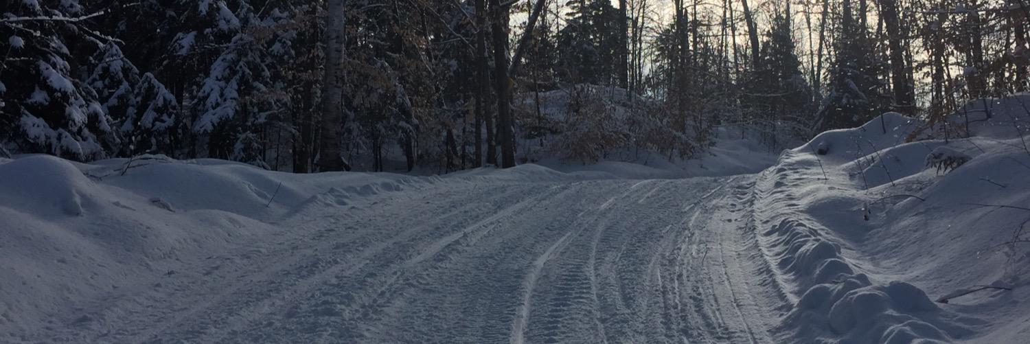 Eric Victor weather banner