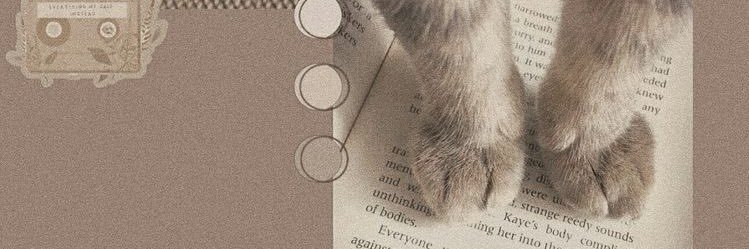 chanel_s96's profile banner image