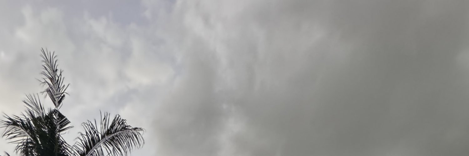 Ralsu8's profile banner image
