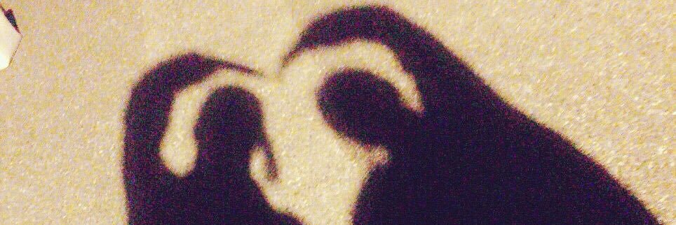 sio_____run's profile banner image