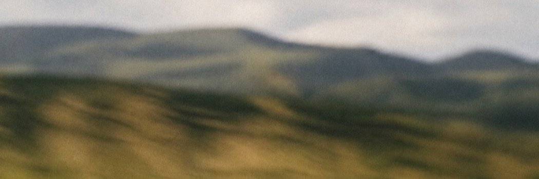 lusanini's profile banner image