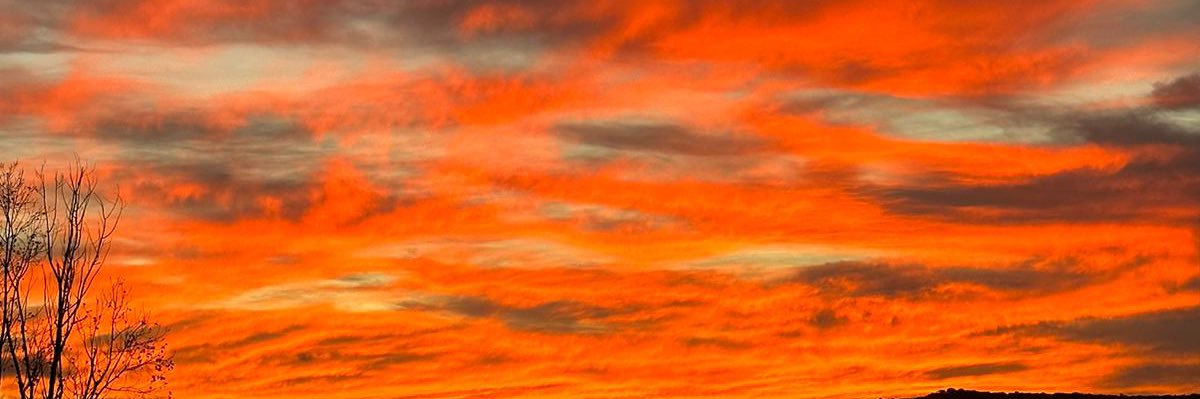 _andreavallee_'s profile banner image
