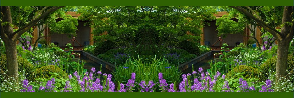 puravida creative banner