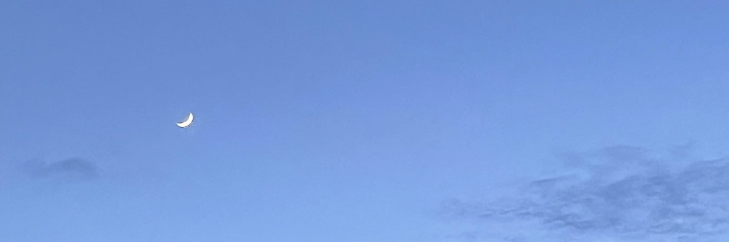 corinnebechtold's profile banner image