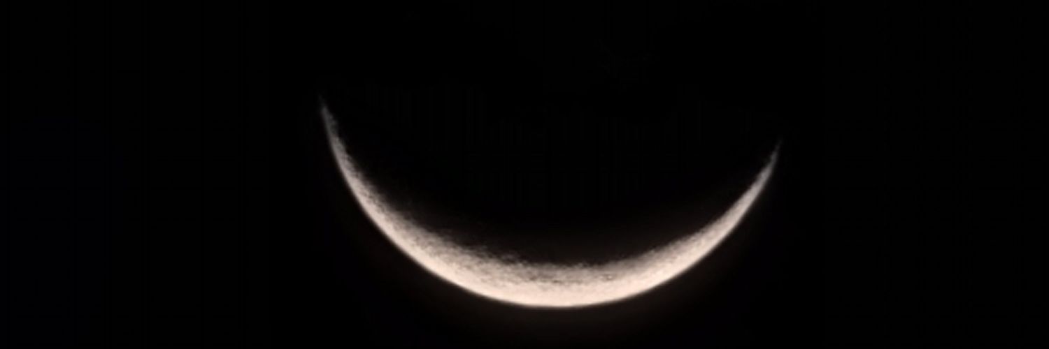 JuliePatata's profile banner image
