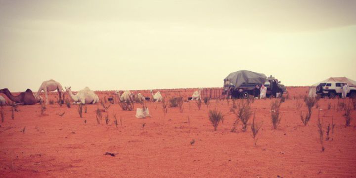 🔆ثامربن عتيق البقمي banner